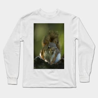 Red Squirrel Long Sleeve T-Shirt